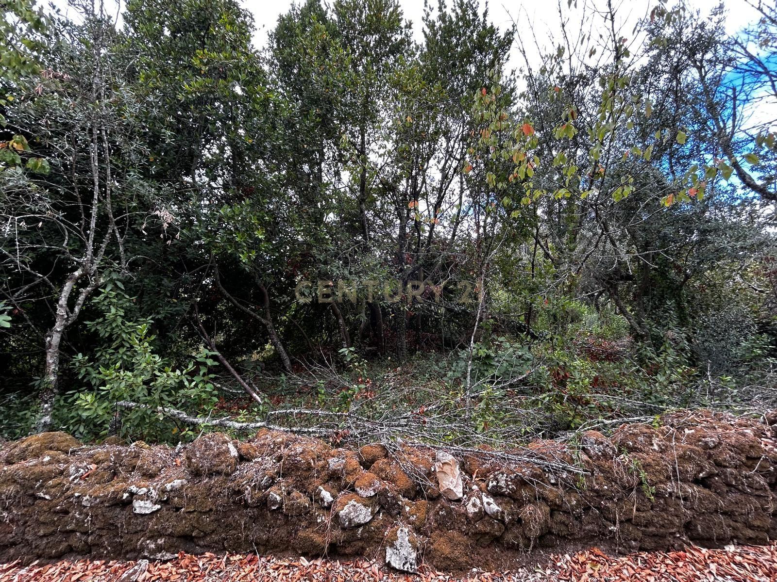 Fotografia 8 de Terreno com Ruína em Pussos São Pedro, Alvaiázere