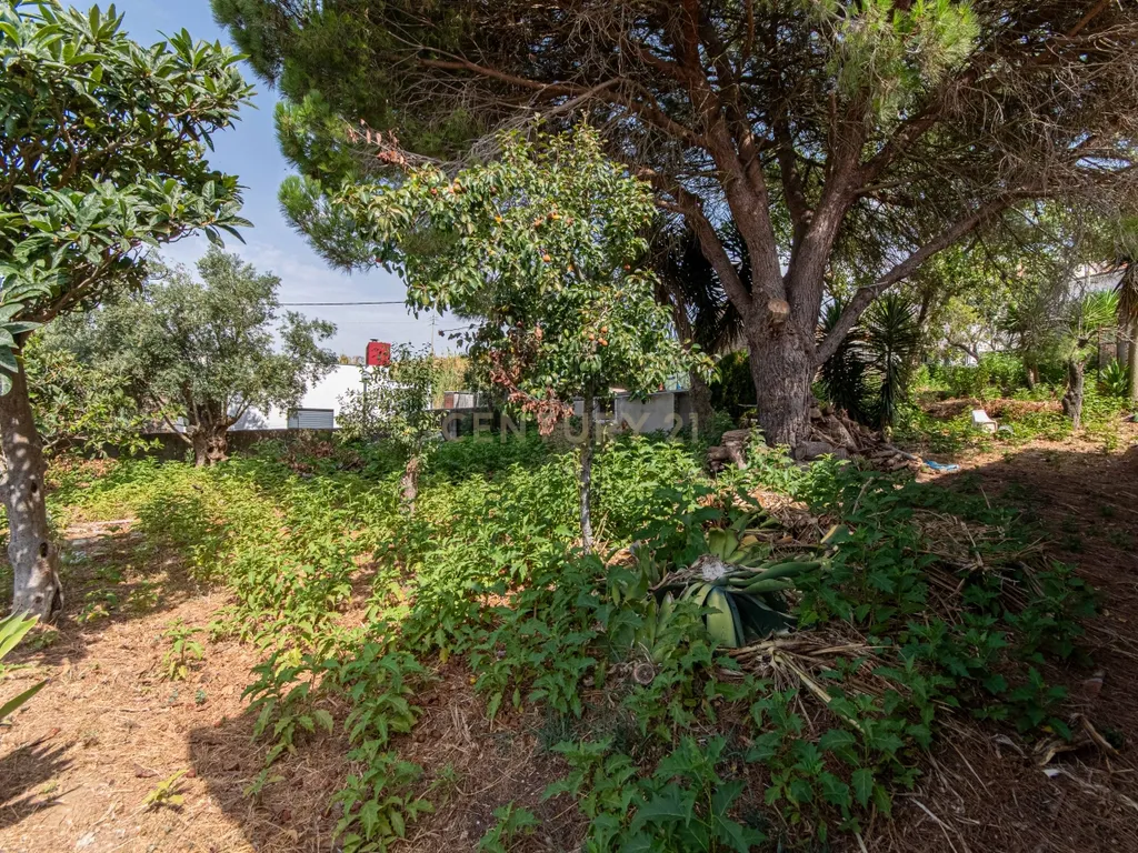 Moradia T3 em São João dos Montes - Image 6