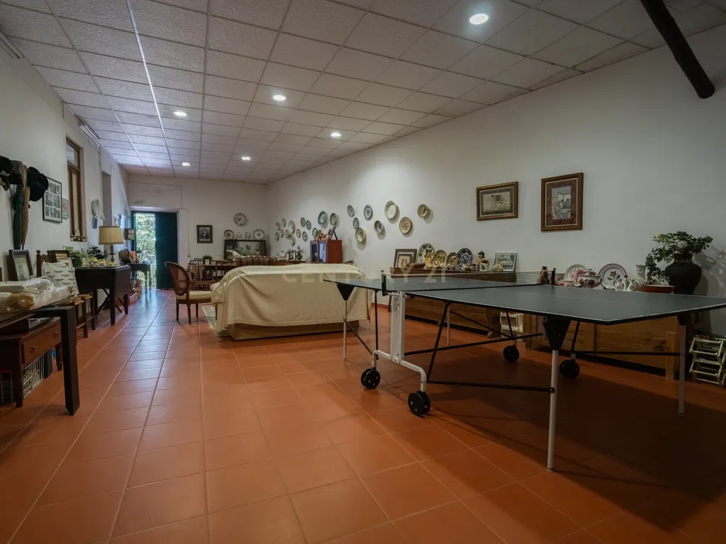 Moradia T4 Exclusiva na Comenda, Gavião – O Teu Refúgio no Alentejo! - Image 35
