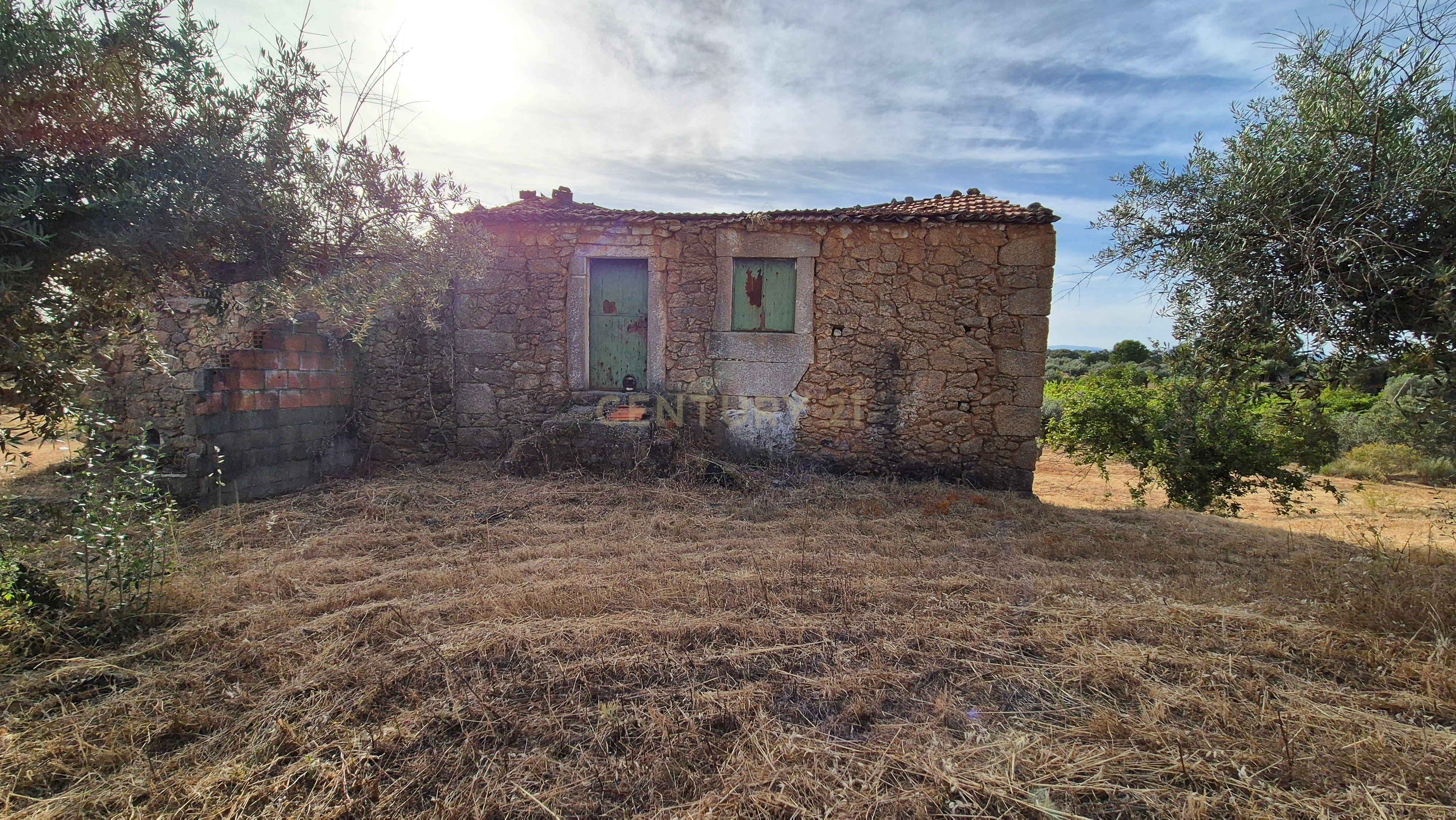 Fotografia 7 de Terreno Rústico com Ruínas e 3 poços na Lousa – Castelo Branco