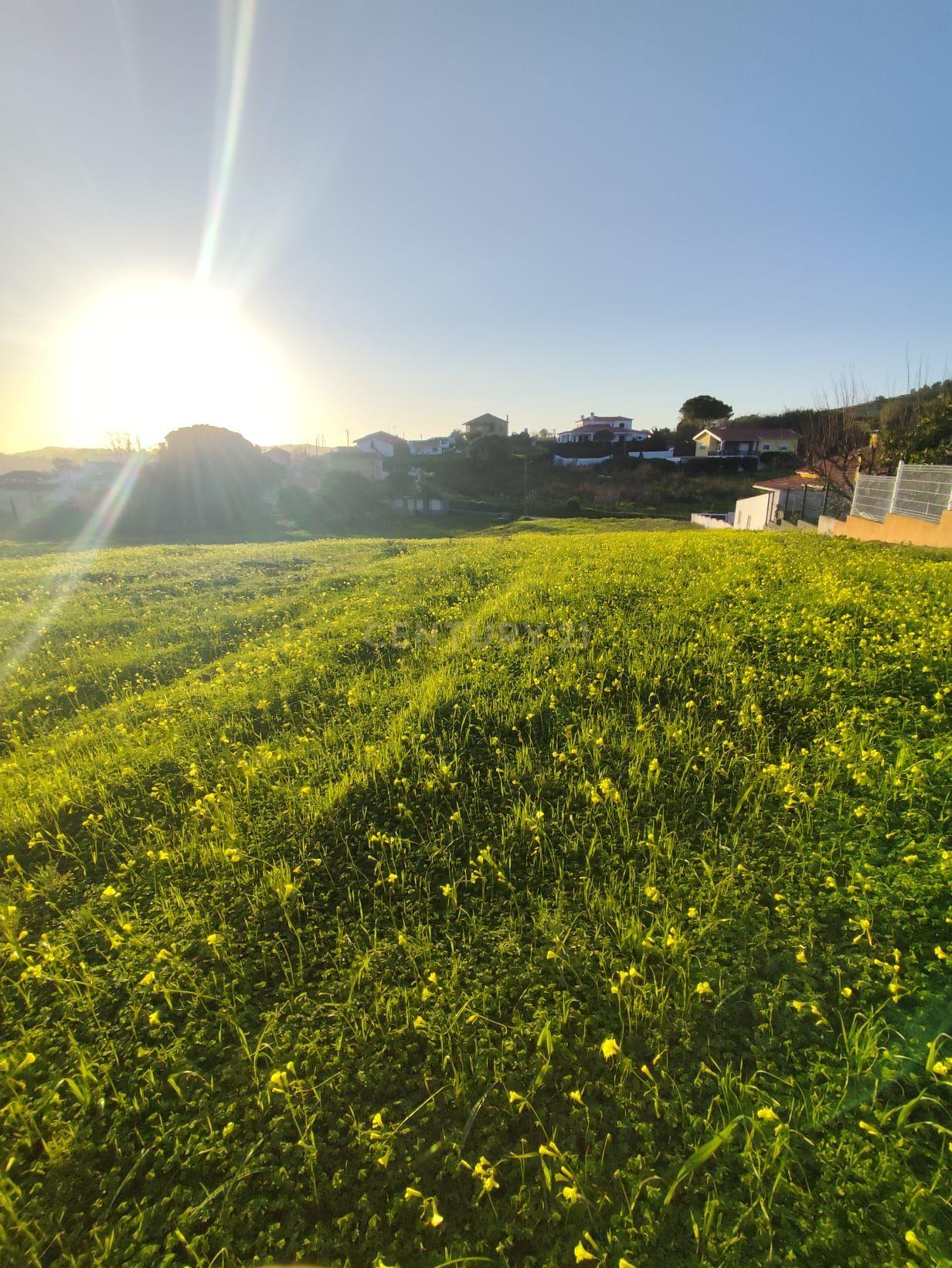 Fotografia 11 de TERRENO URBANO COM 1.620 m² | CARVALHAL – TURCIFAL | TORRES VEDRAS