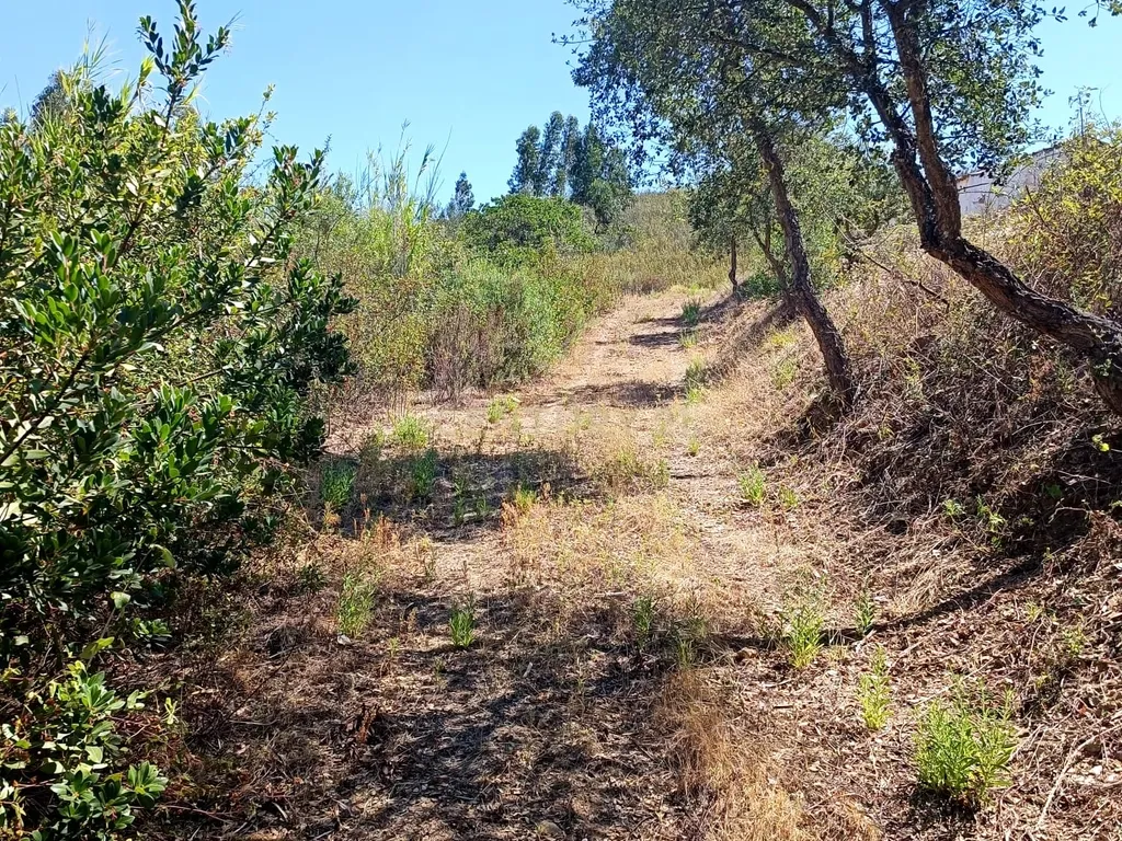 Terreno Misto com 3,66HA - Perna Seca - S. B. Messines - Image 27
