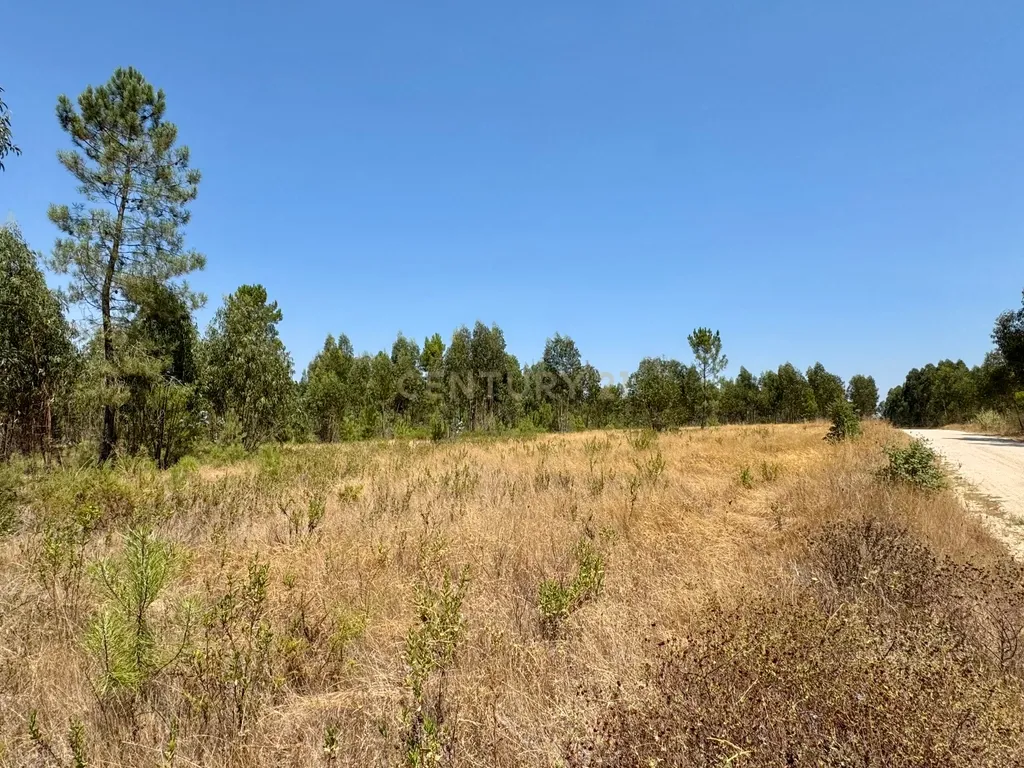 Terreno com 94.000 m2 na zona do Novo Aeroporto de Lisboa, Santo Estêvão, Benavente. Em venda! - Image 10