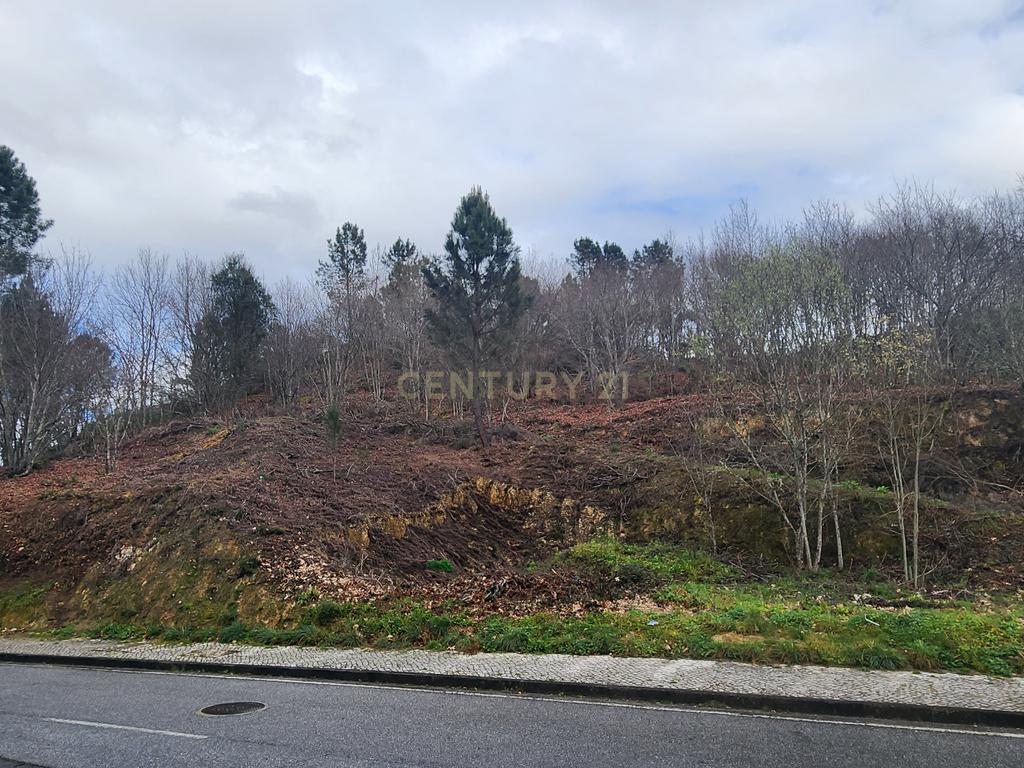 Terreno Urbano em São Pedro do Sul - Image 8