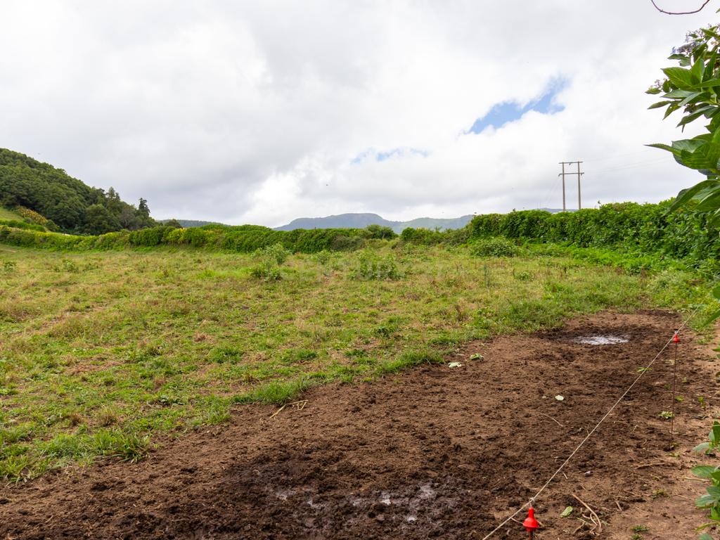 🌿 Terreno Agrícola com 21.135 m² – Faial da Terra, Povoação 🌿 - Image 4