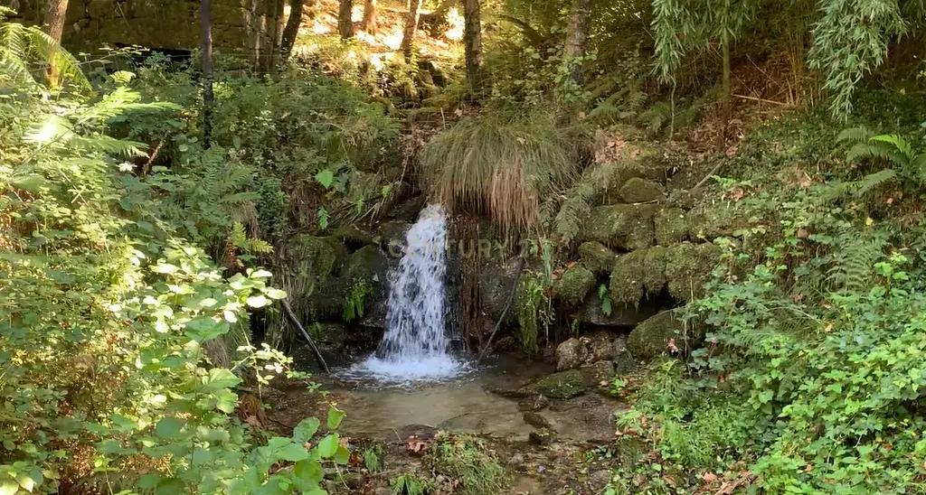 Quinta "Floresta Encantada" – Um Paraíso Natural no Norte de Portugal - Image 1