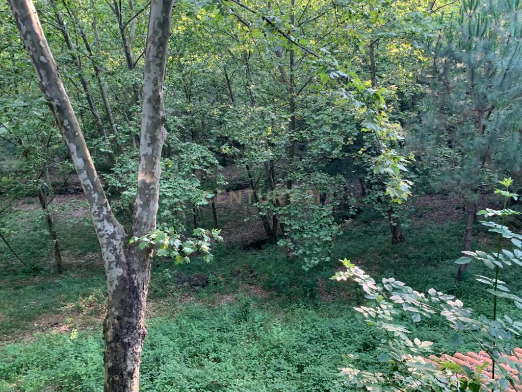 Quinta "Floresta Encantada" – Um Paraíso Natural no Norte de Portugal - Image 18
