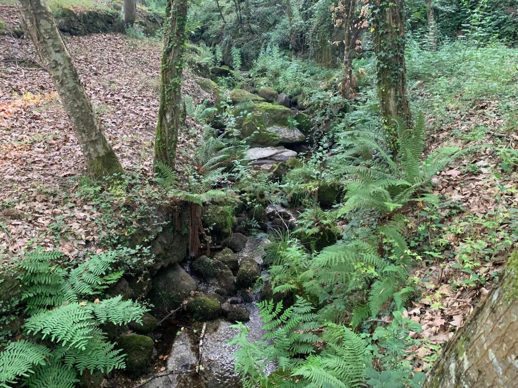 Quinta "Floresta Encantada" – Um Paraíso Natural no Norte de Portugal - Image 20