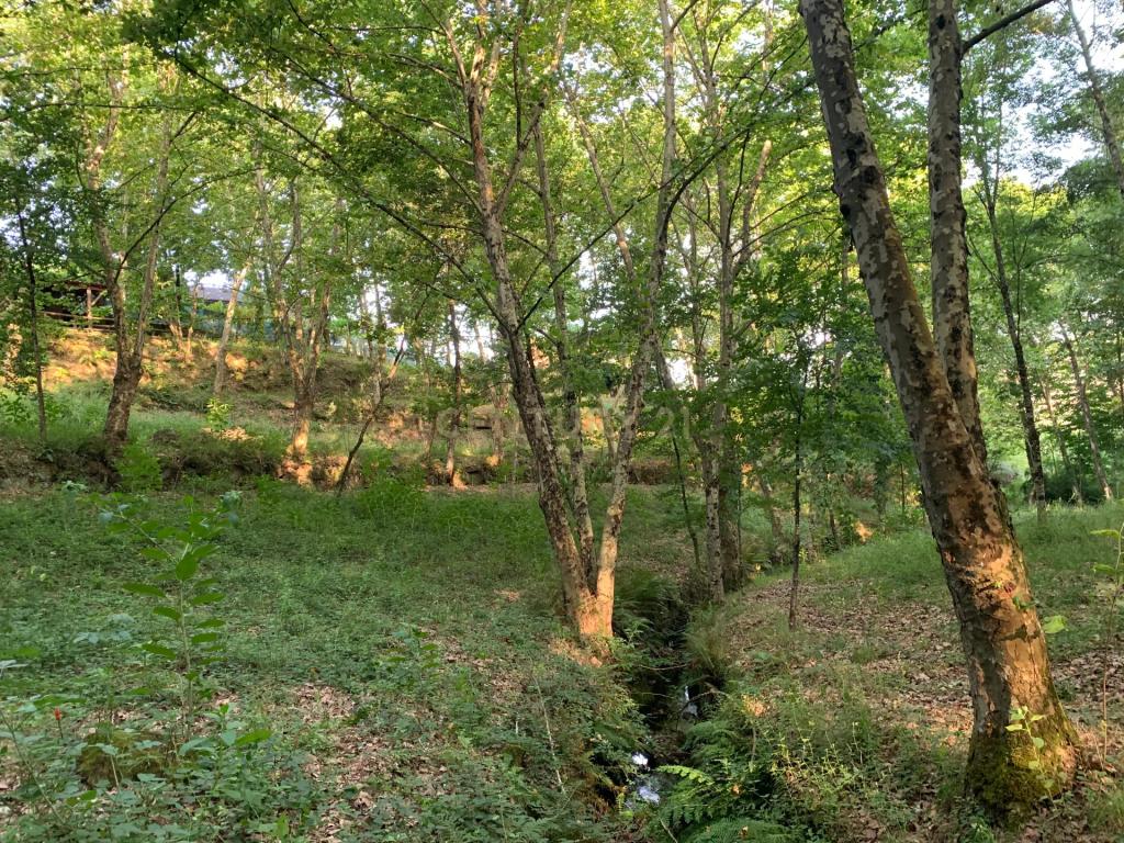 Quinta "Floresta Encantada" – Um Paraíso Natural no Norte de Portugal - Image 21