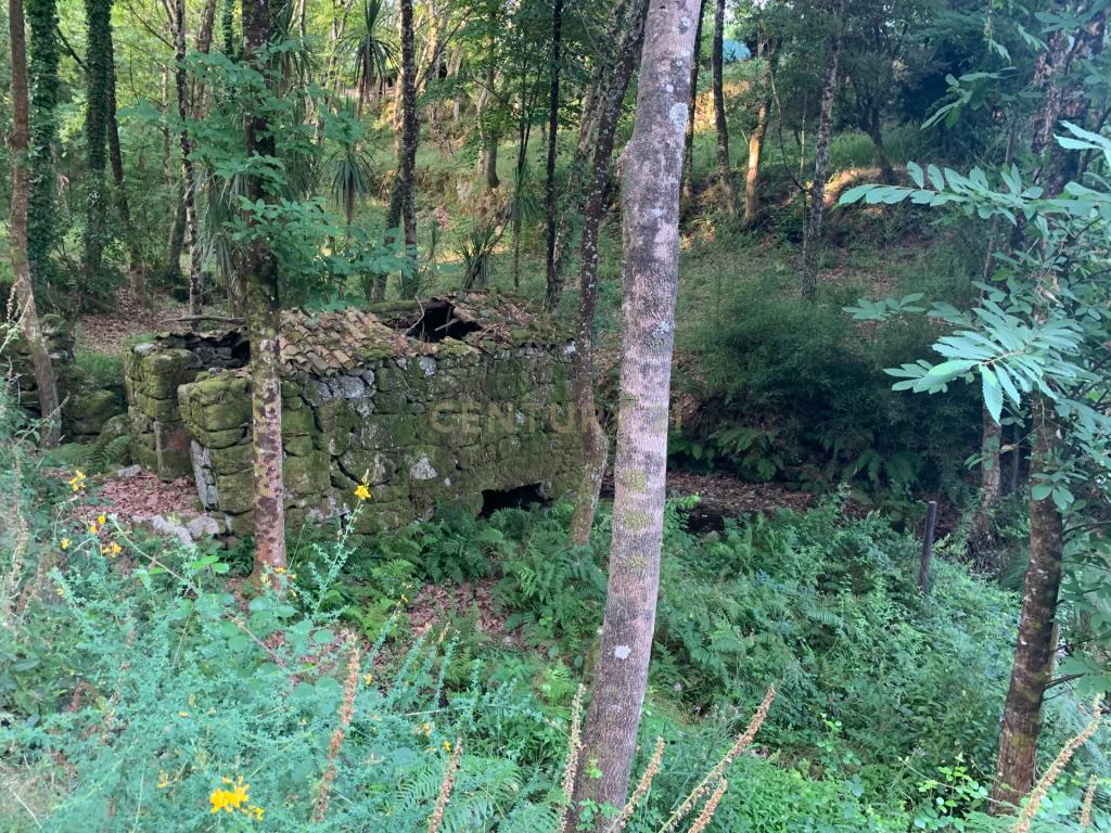 Quinta "Floresta Encantada" – Um Paraíso Natural no Norte de Portugal - Image 26