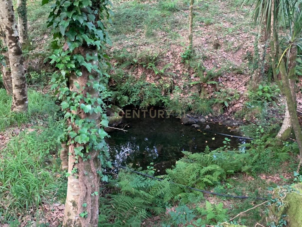 Quinta "Floresta Encantada" – Um Paraíso Natural no Norte de Portugal - Image 34