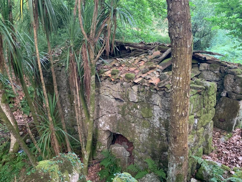 Quinta "Floresta Encantada" – Um Paraíso Natural no Norte de Portugal - Image 33