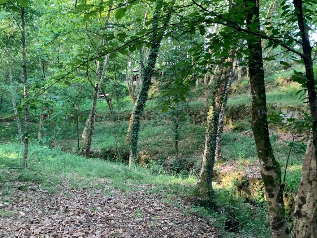 Quinta "Floresta Encantada" – Um Paraíso Natural no Norte de Portugal - Image 32