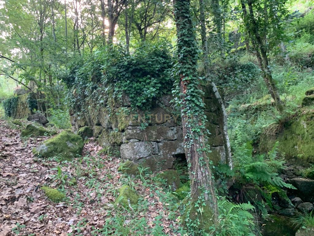 Quinta "Floresta Encantada" – Um Paraíso Natural no Norte de Portugal - Image 37