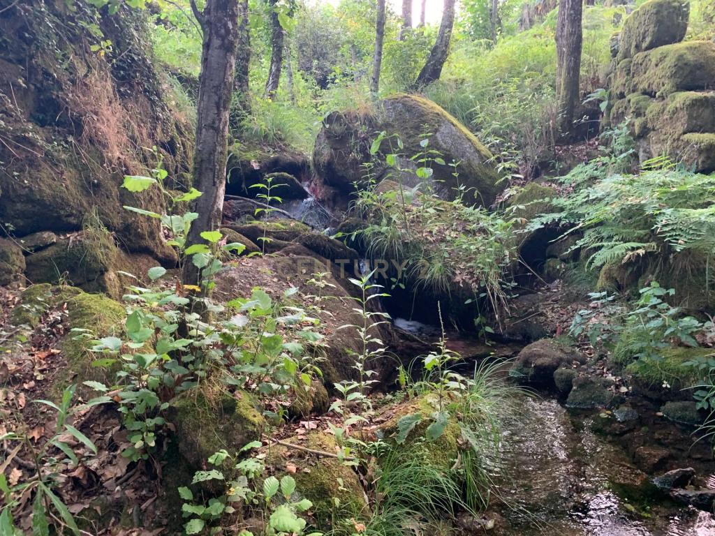 Quinta "Floresta Encantada" – Um Paraíso Natural no Norte de Portugal - Image 41