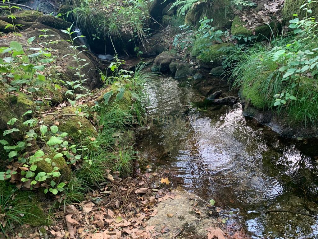 Quinta "Floresta Encantada" – Um Paraíso Natural no Norte de Portugal - Image 44