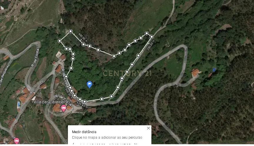 Quinta "Floresta Encantada" – Um Paraíso Natural no Norte de Portugal - Image 49