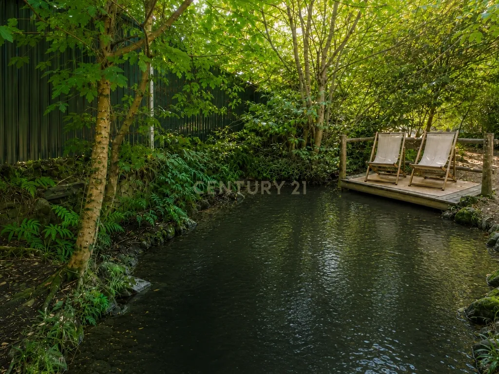 Terreno com lago na Serra da Lousã - Image 3