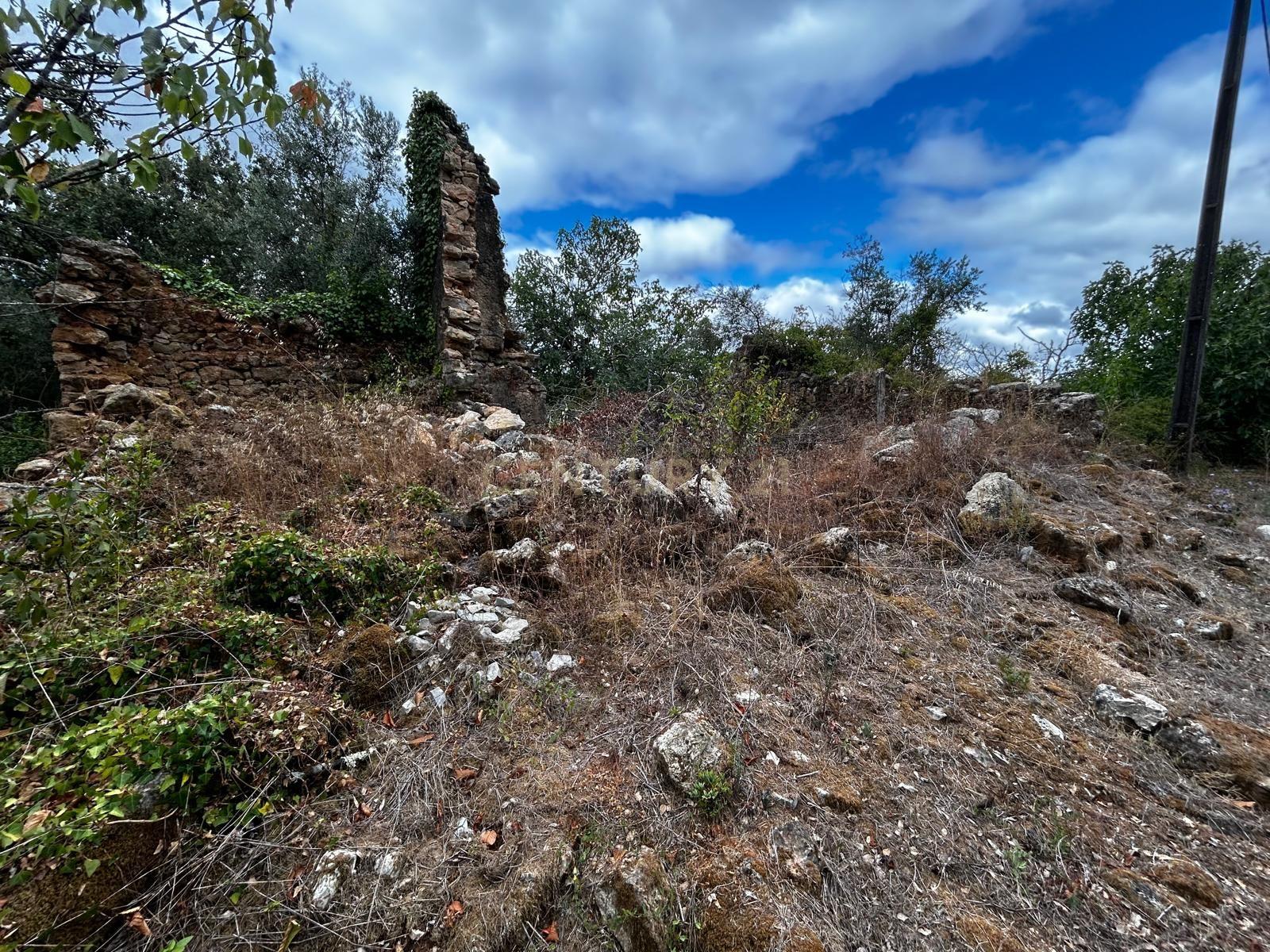 Fotografia 3 de Terreno com Ruína em Pussos São Pedro, Alvaiázere