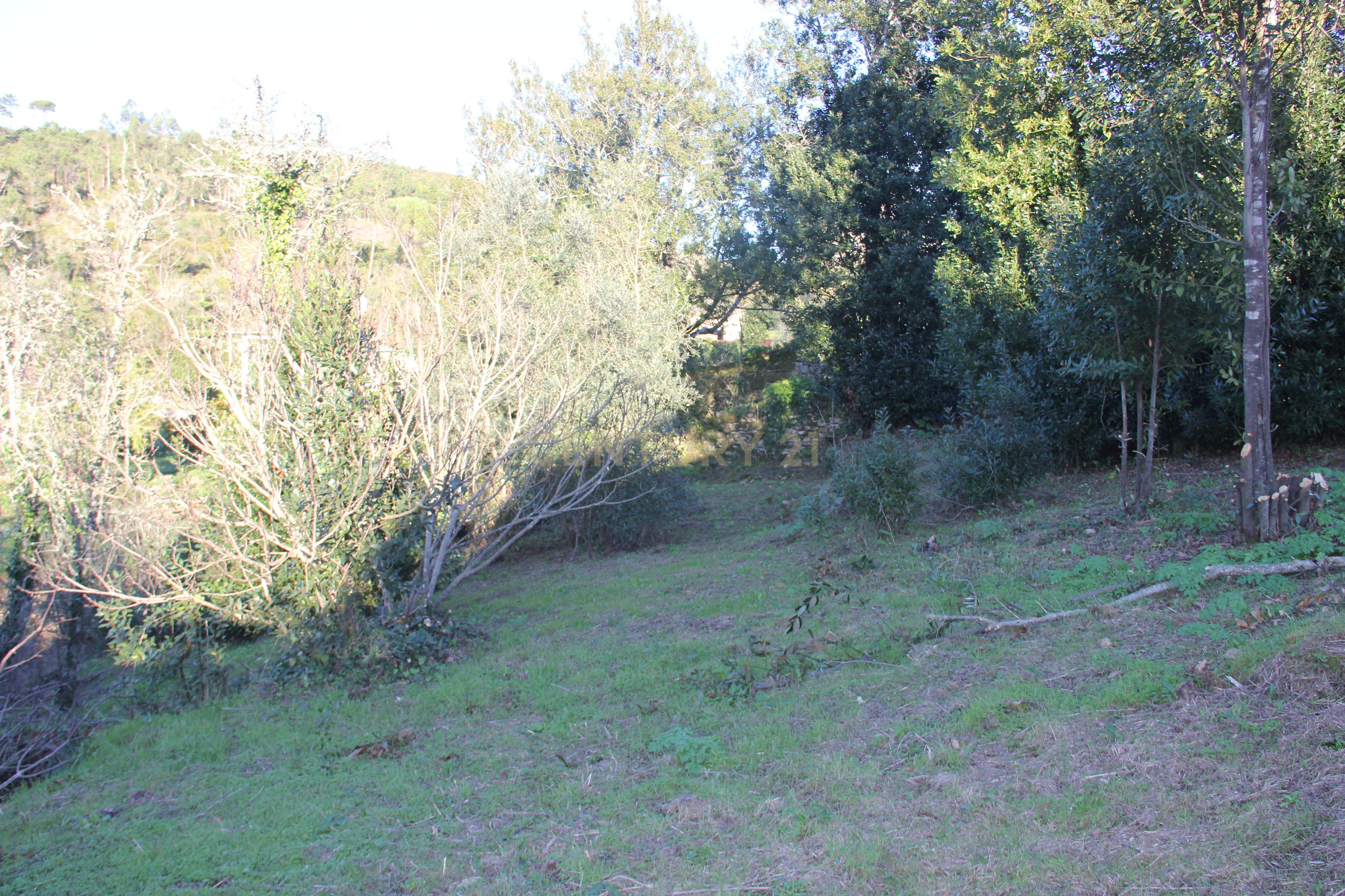 Fantástico terreno para moradia - Image 18