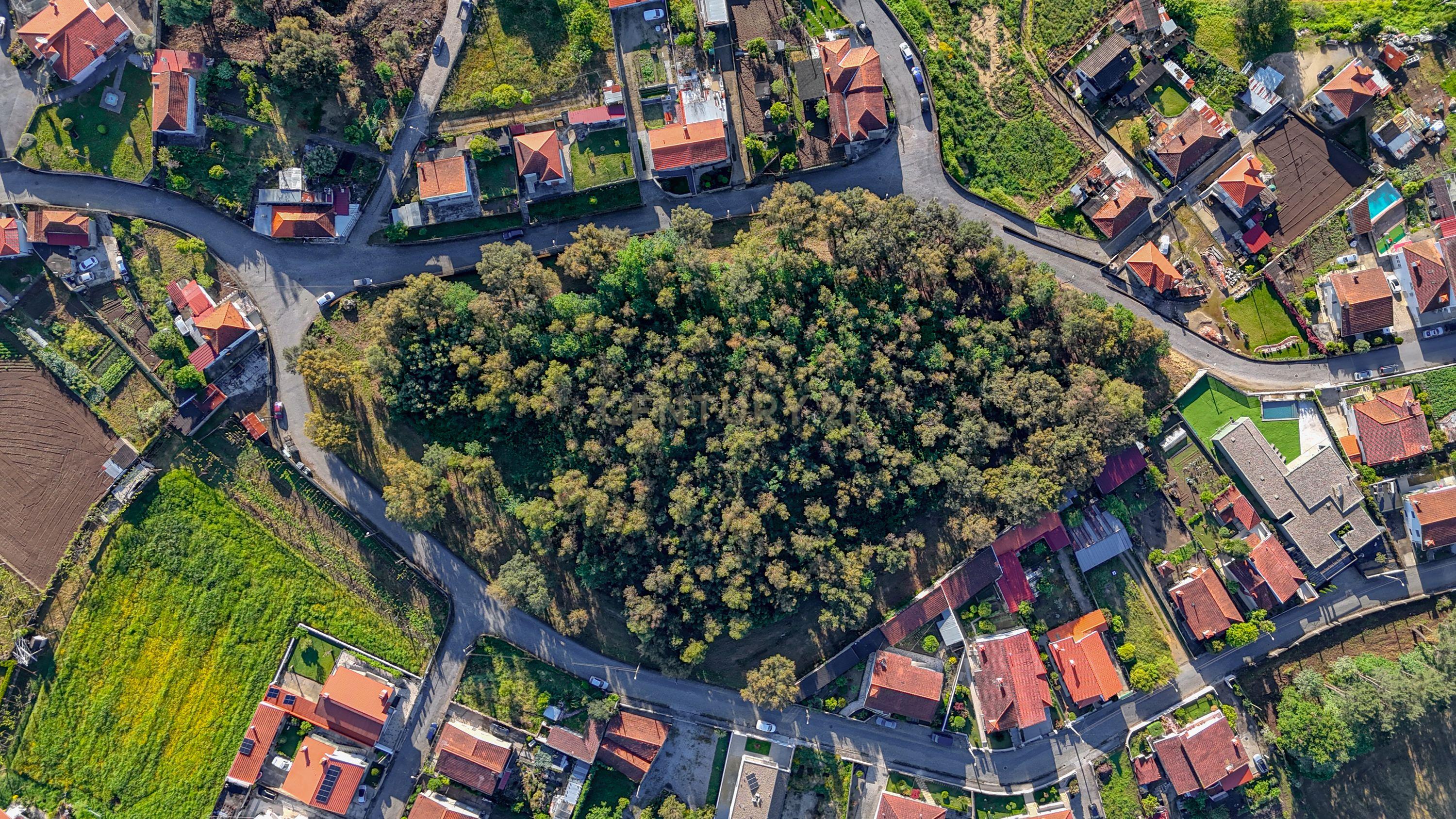 Terreno com 14.000m2 próximo ao Centro de Santo Tirso - Image 1