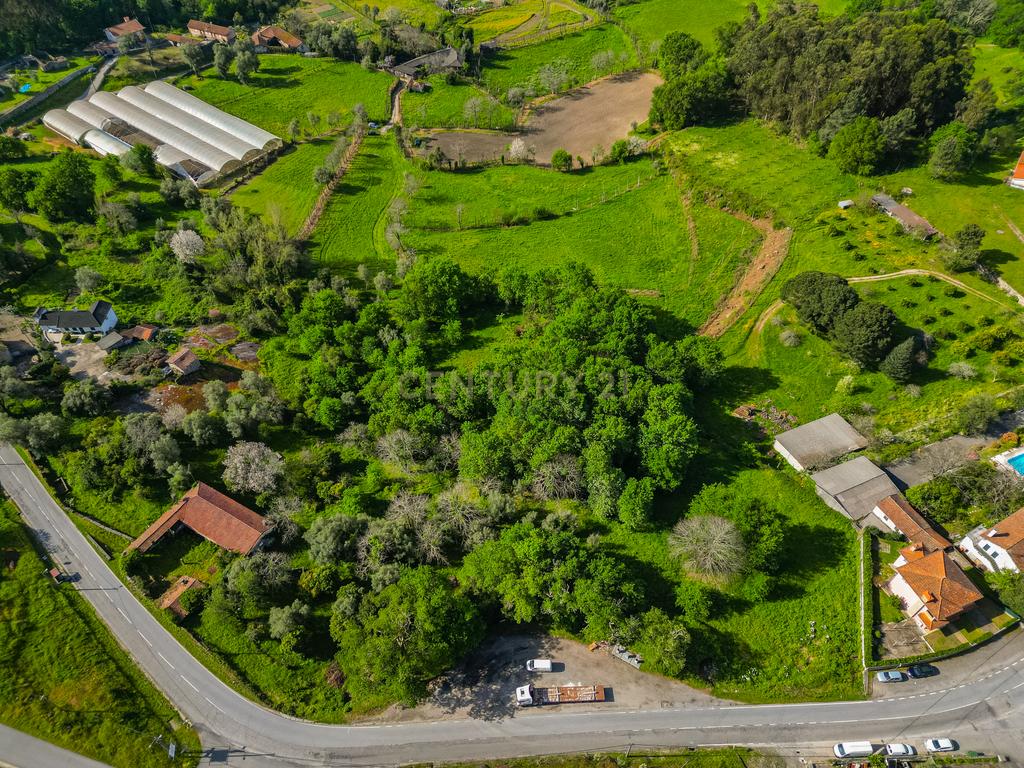 🌿 Quinta Rústica com 15.075 m² | Para Recuperar | Póvoa de Lanhoso, Braga - Image 11