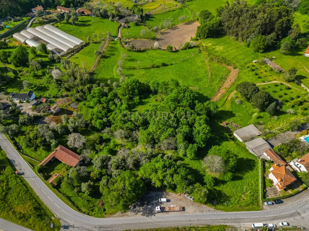 🌿 Quinta Rústica com 15.075 m² | Para Recuperar | Póvoa de Lanhoso, Braga - Image 11