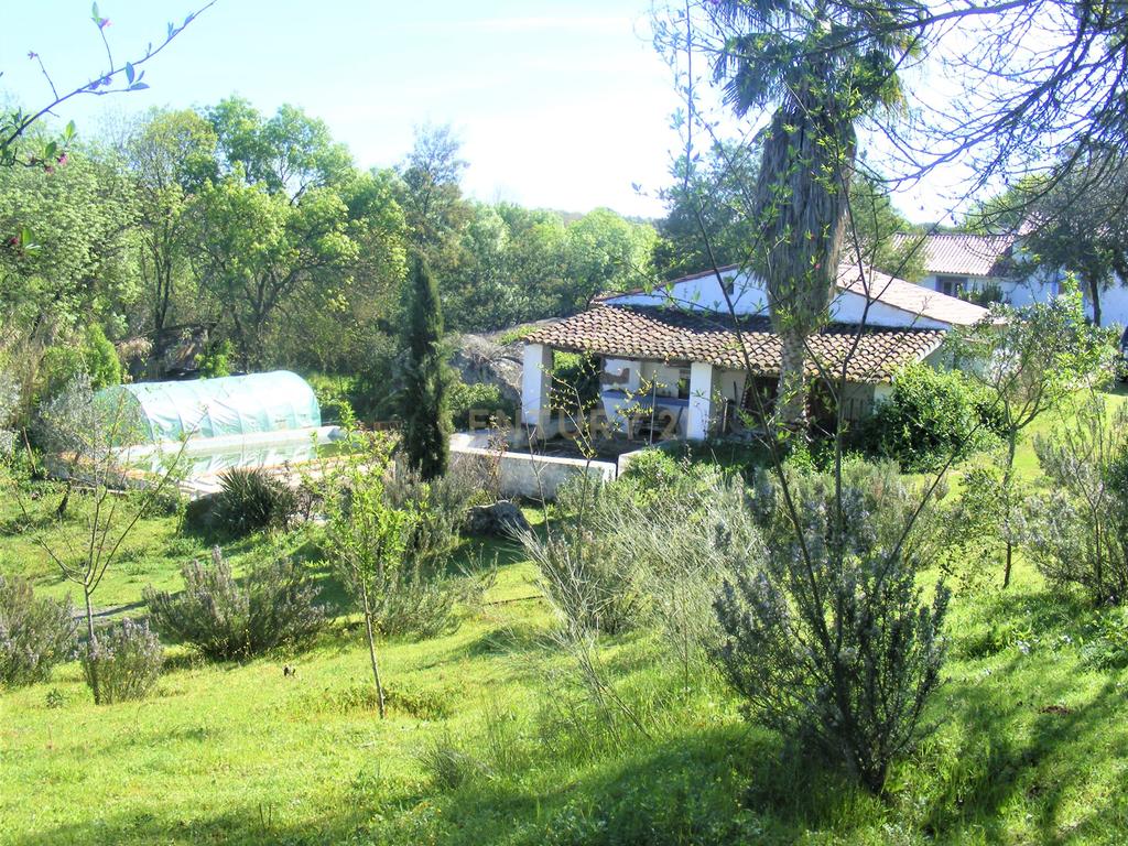Quinta Típica Alentejana, Licença de Turismo Rural, Arrendamento, Arraiolos - Image 36