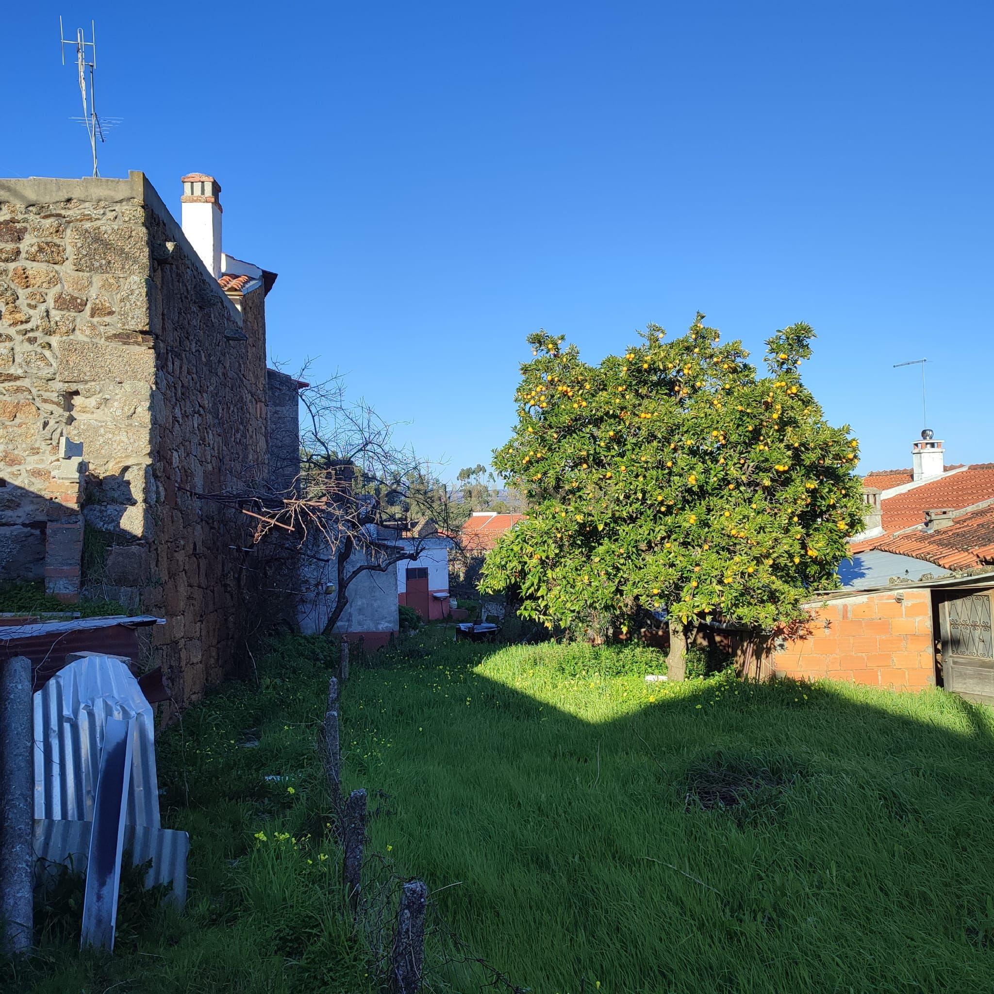 Moradia T2 à venda em Proença-a-Velha, Idanha-a-Nova — foto 32
