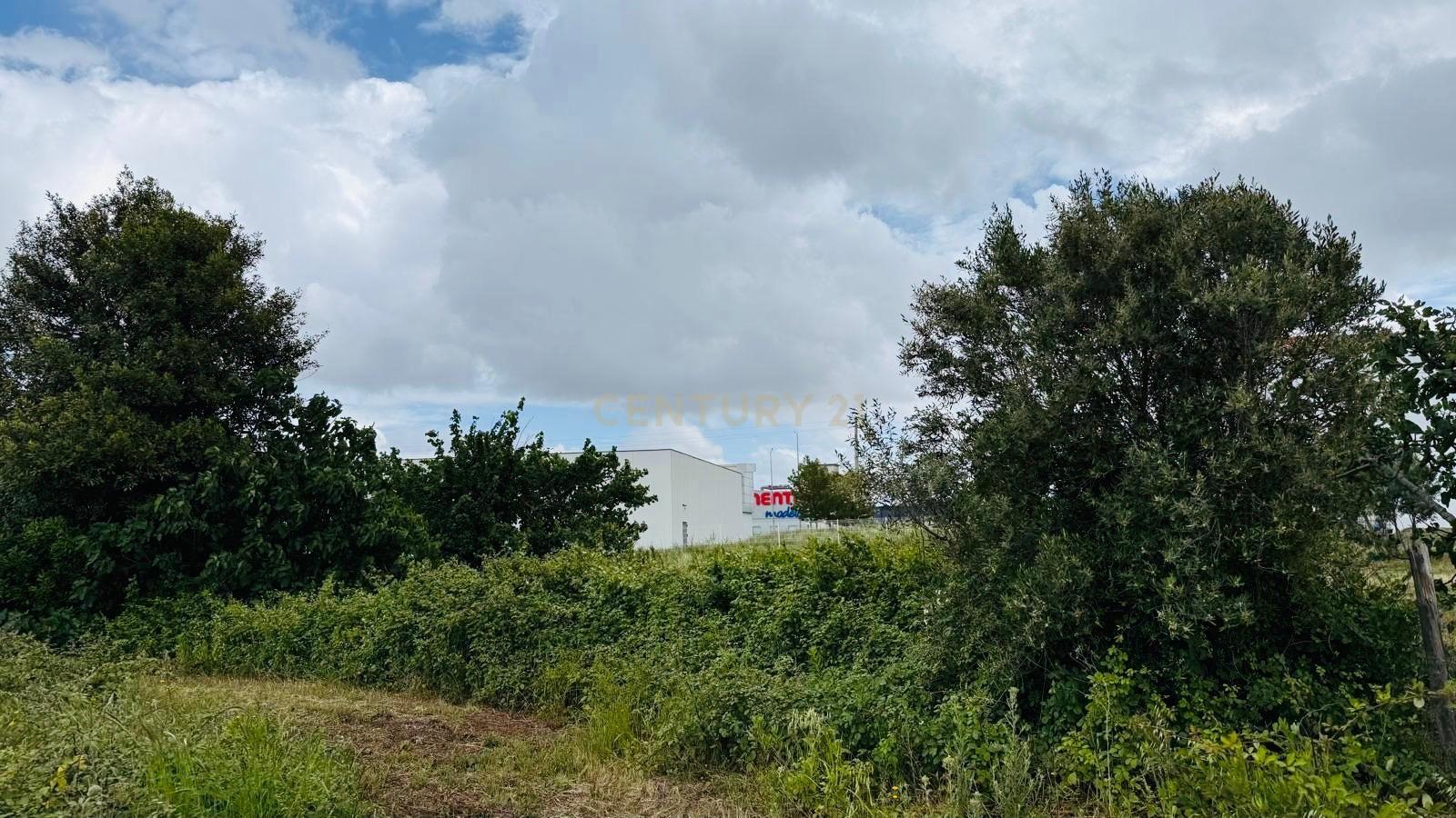 Fotografia 9 de Terreno em Alenquer