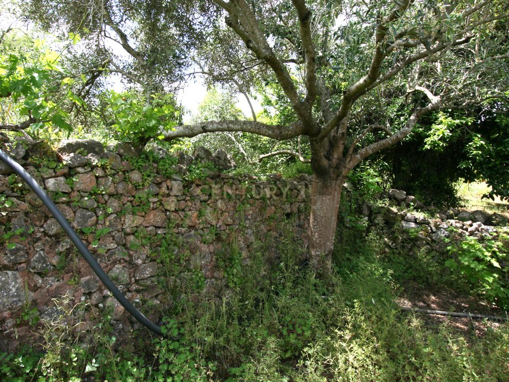 Propriedade de estilo tradicional T3+1, anexo e lote de 8080 m2 em Portela, São Bartolomeu de Messines - Image 36