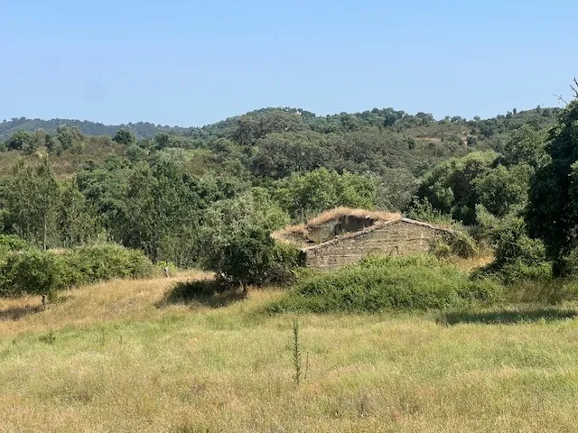 Herdade com 59,225 ha , 687m2 urbano, nascente de água, em Colos, Odemira - Image 58