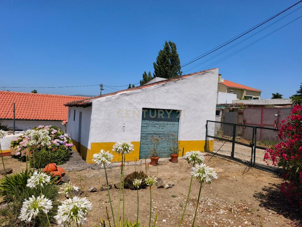Moradia T3 com quintal e poço em Aldeia Gavinha uma mini quinta - Image 8