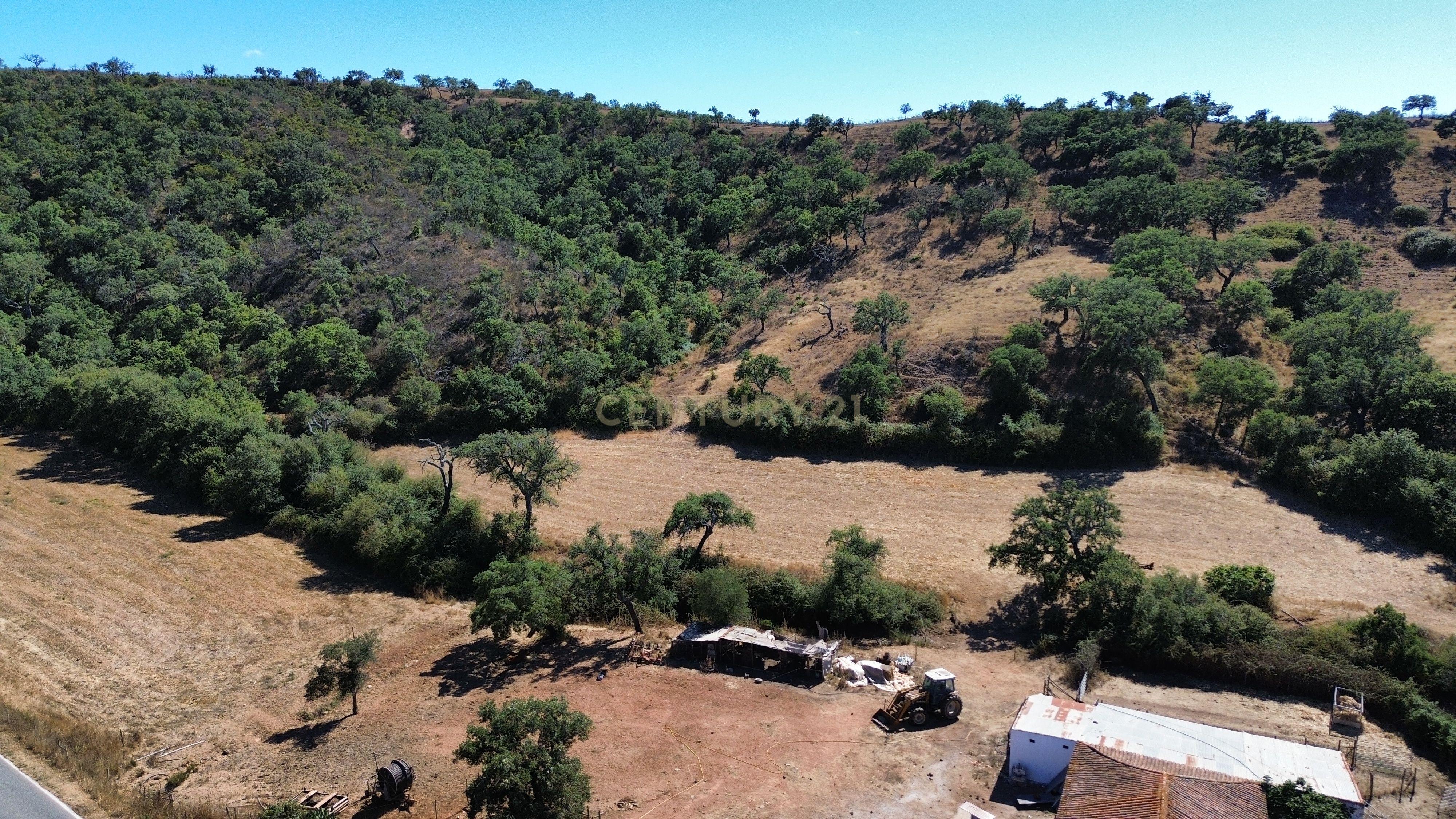 Fotografia 2 de HERDADE COM 193 HECTARES | BOAVISTA DOS PINHEIROS, ODEMIRA