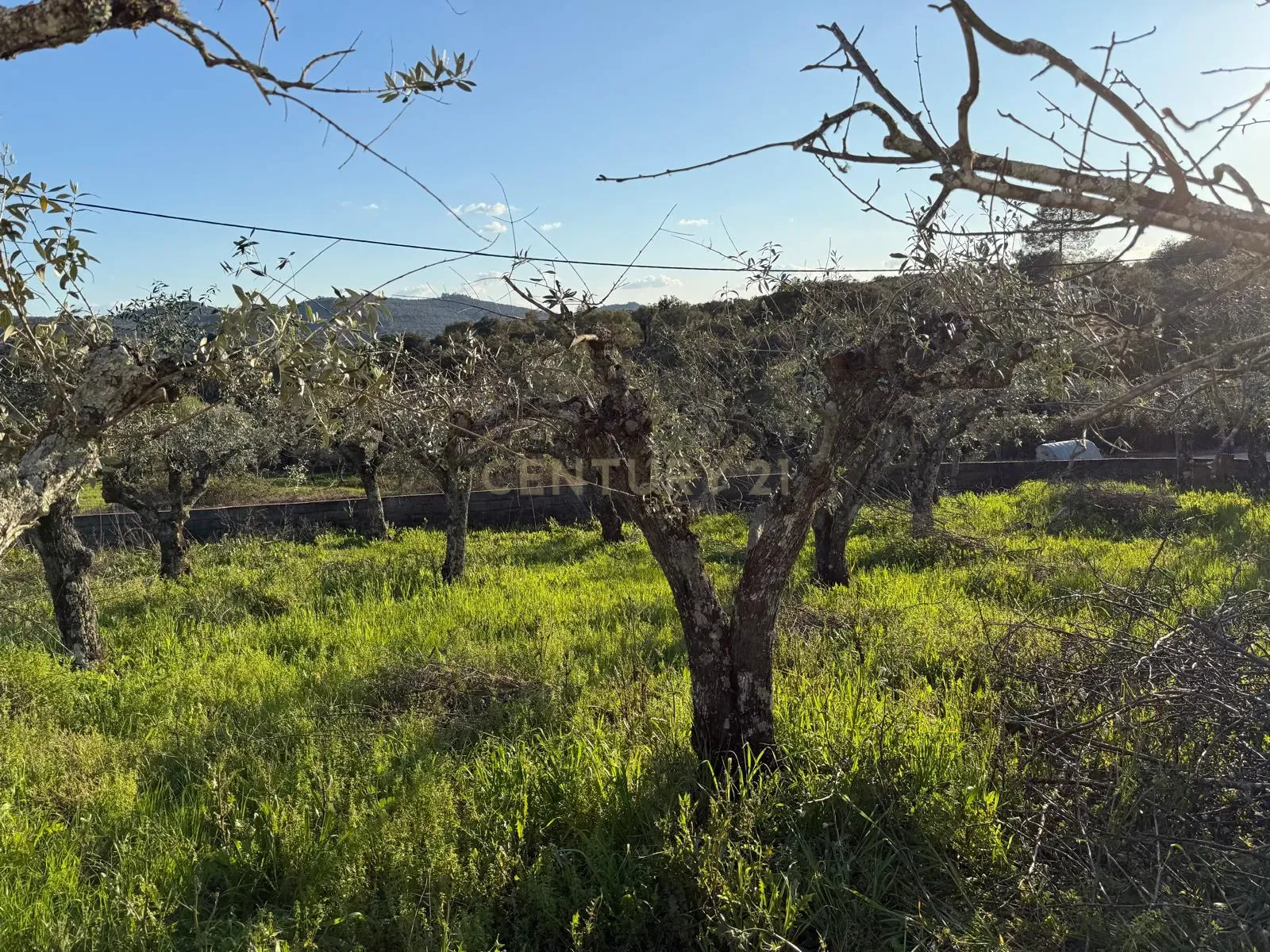 Moradia T1 à venda em Alegrete, Portalegre — foto 18