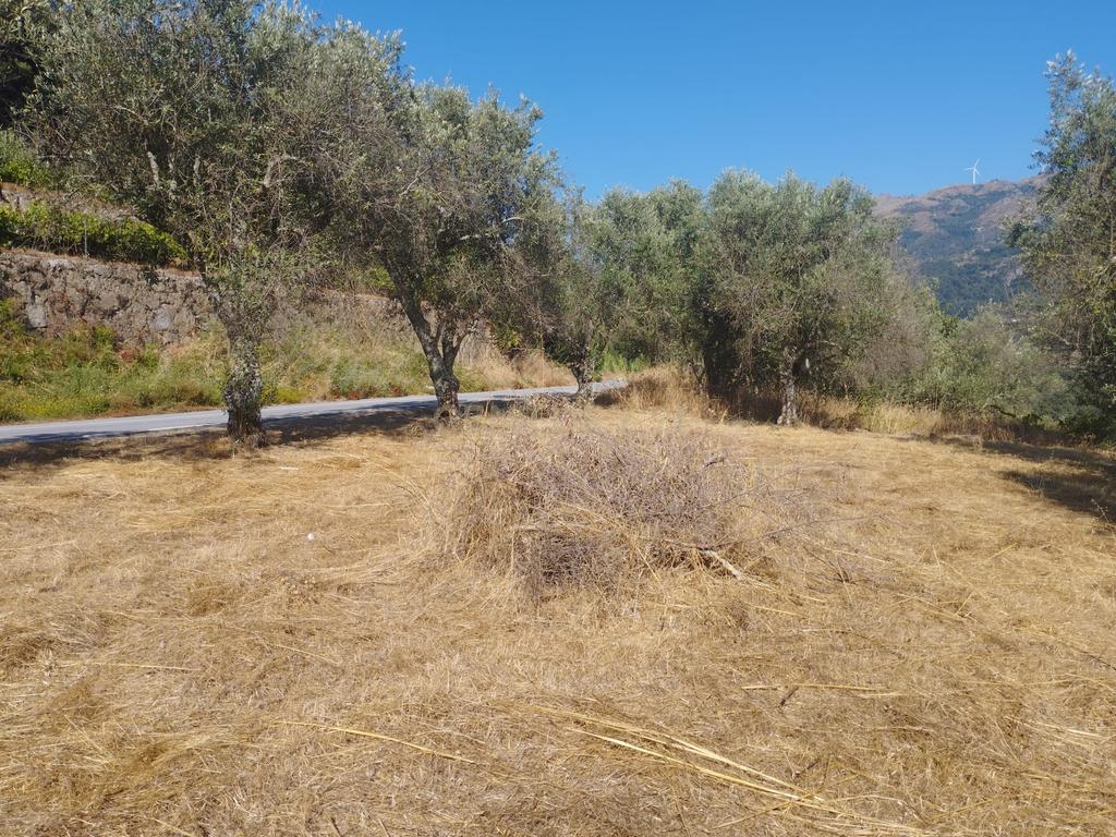 Moradia em ruina repleta de belas histórias, para reconstruir, no coração do Douro em Frende, Baião - Image 37