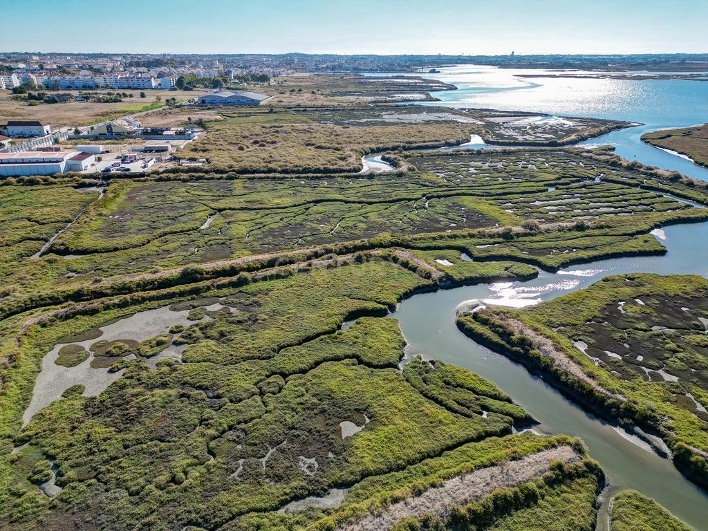 Terreno 20,18ha, Montijo - Seixalinho, para actividades de piscicultura e agricultura - Image 25