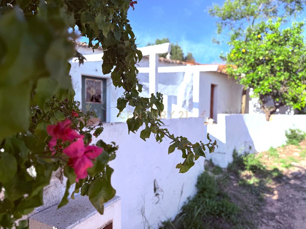 Quinta em Estiramantens – 1 Hectare de Pura Tranquilidade!  - Image 1