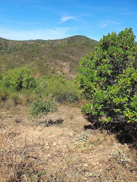 Fotografia 8 de Terreno com Vista Panorâmica em Valhelhas, Guarda