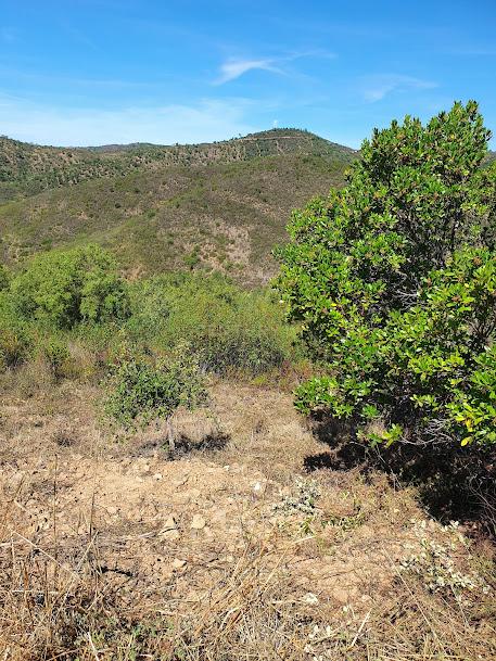 Terreno com Vista Panorâmica em Valhelhas, Guarda - Image 8