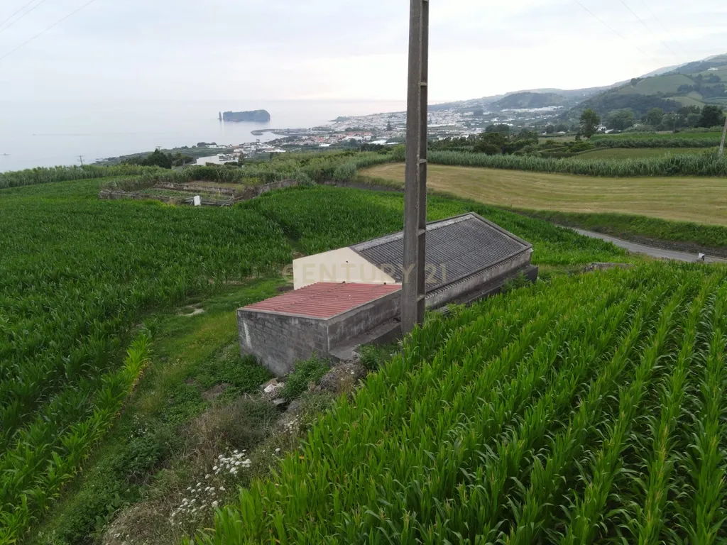 Terreno Agrícola com Armazém e Vista Mar — Um Refúgio Natural na Ribeira das Tainhas!  - Image 2