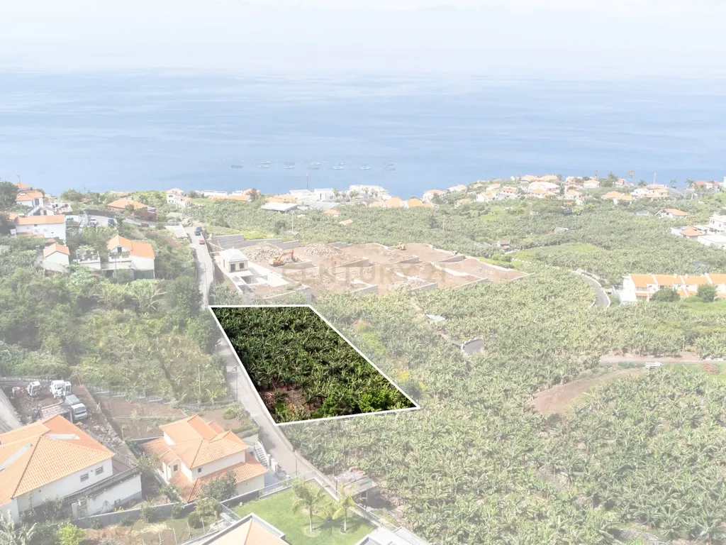 Terreno para construção 1946m2 - Arco da Calheta - Image 2