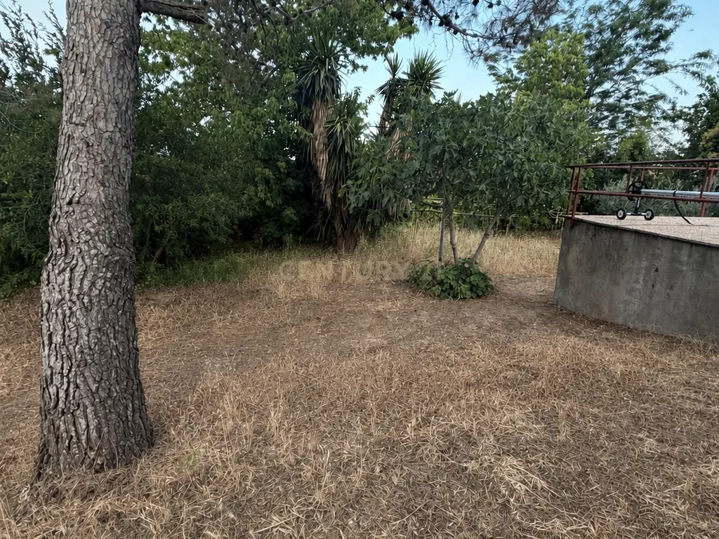 🌿 Um refúgio privado com piscina e quase 2 000 m² de natureza, a 5 minutos de Trujillo. - Image 44