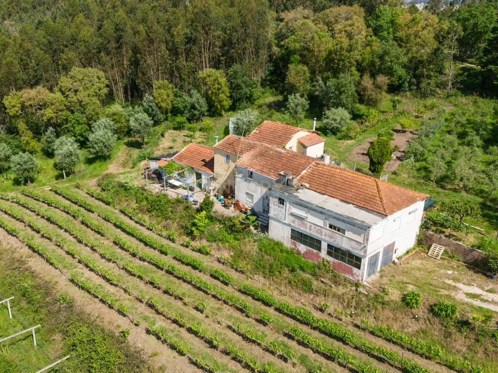 Quinta com 8 hectares com potencial para construção – Antanhol - Coimbra - Image 3