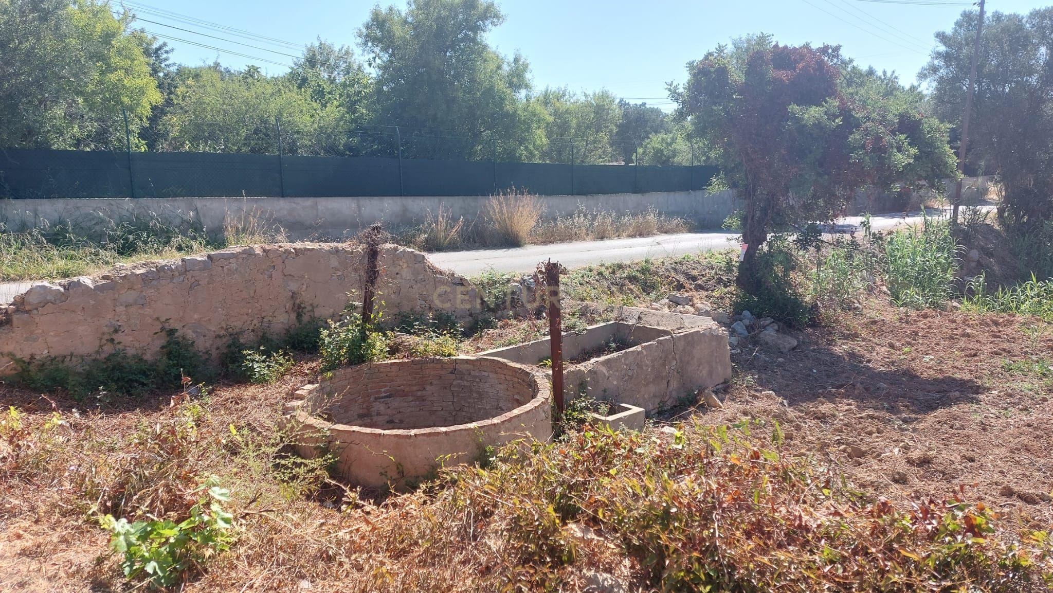 Fotografia 9 de Terreno Rústico com 2.280 m² em Santa Bárbara de Nexe – Sítio do Canal