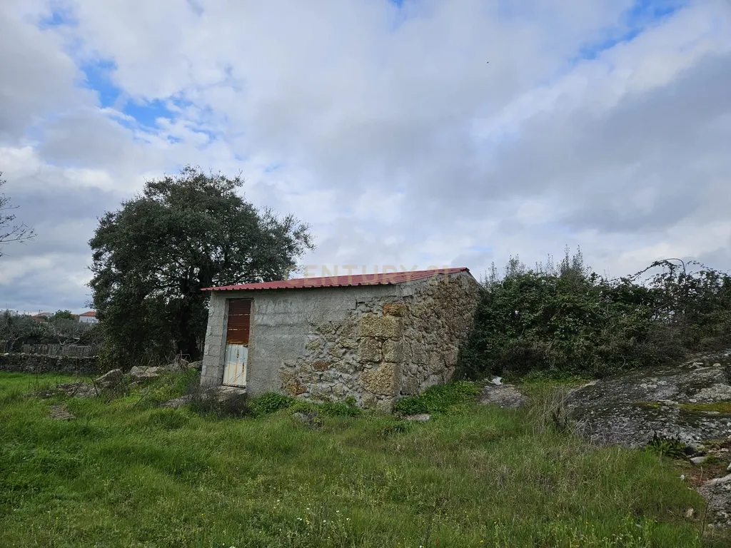Quintinha na Lousa, Castelo Branco - Image 13