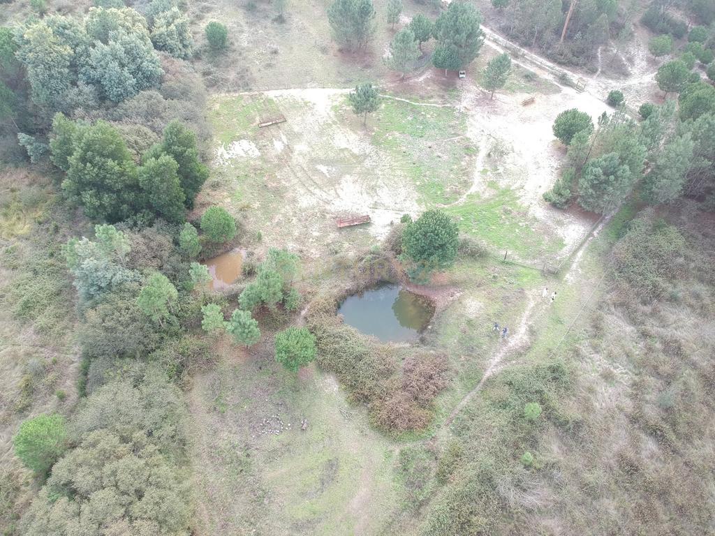 Quinta a 1 hora de Lisboa - Cortiçadas de Lavre - Próximo novo Aeroporto!!! - Image 8