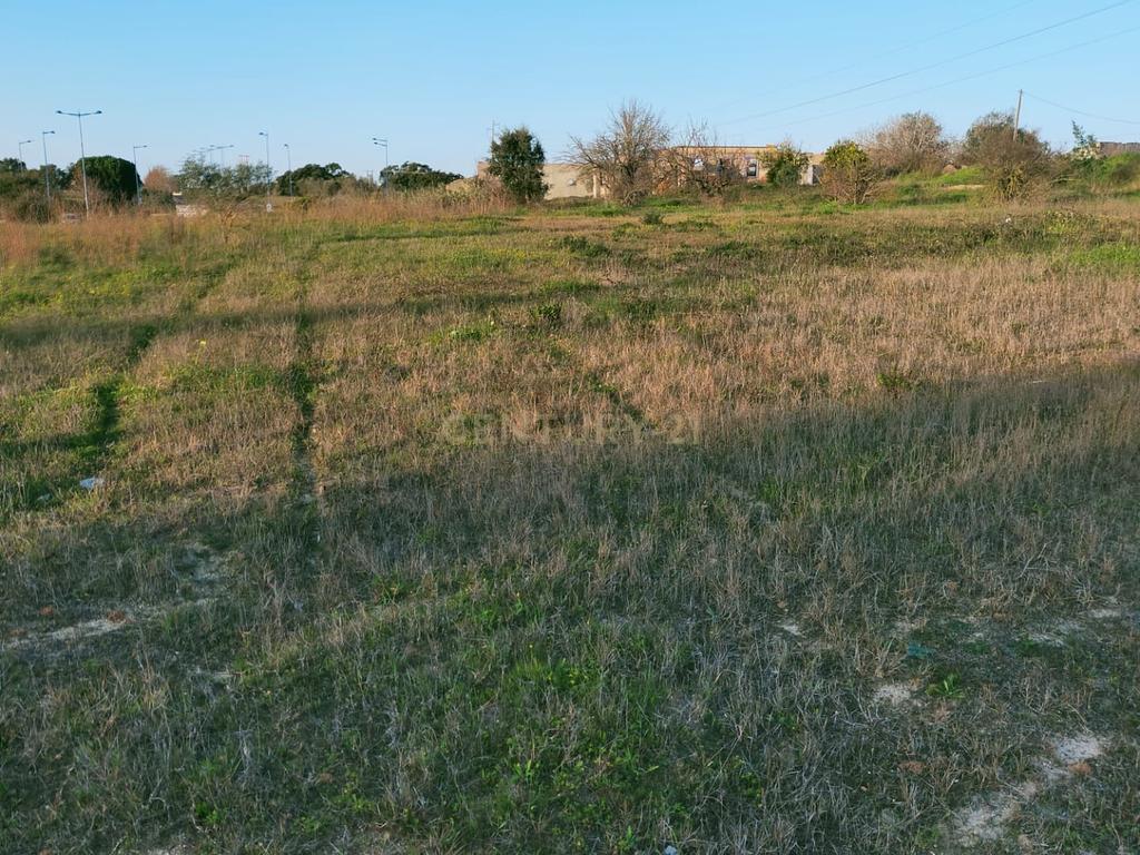 Terreno à Venda em Lamas – Cadaval - Image 9