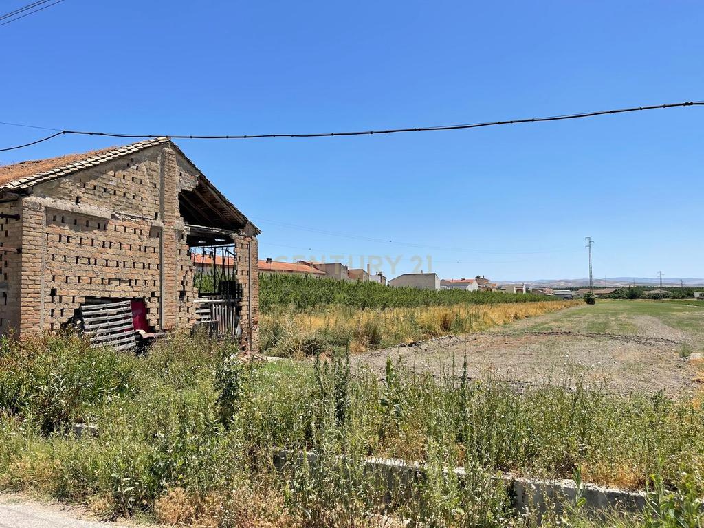 TERRENO DE REGADÍO CON SECADERO, JUNTO AL NÚCLEO URBANO DE FTE. VAQUEROS - Image 11
