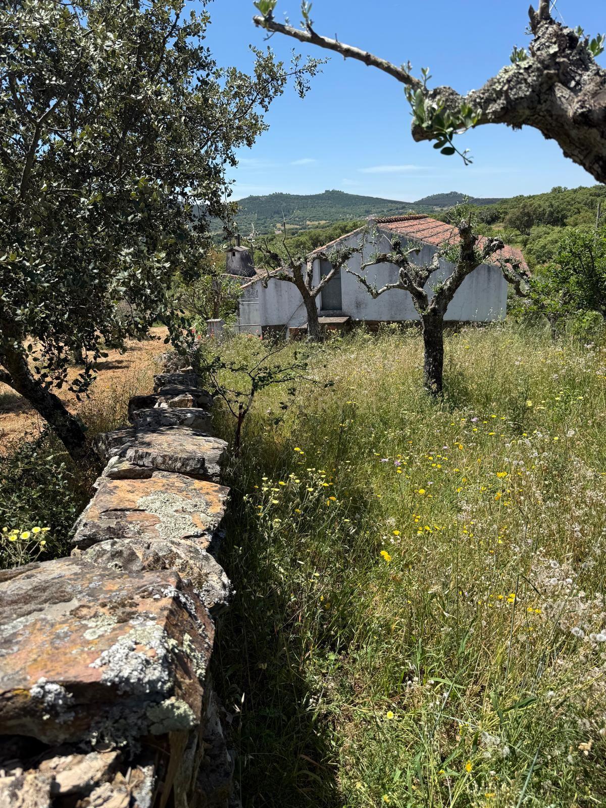 Moradia T1 à venda em Alegrete, Portalegre — foto 20